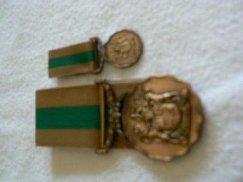 Good Service medal bronze plus miniature