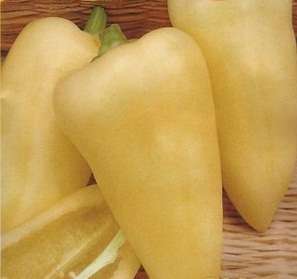 Hungarian Sweet White Pepper - Capsicum Annuum - Unique - 10 Seeds - Vegetable