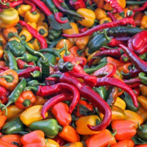 Chilli & Sweet Pepper Seeds - Spring Specials