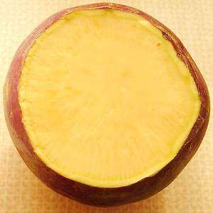 Swede Gowrie - Brassica Napobrassica - Vegetable - 100 Seeds