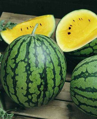 Crimson Yellow Watermelon - Citrus Lanatus - Prolific Fruit - 5 Seeds