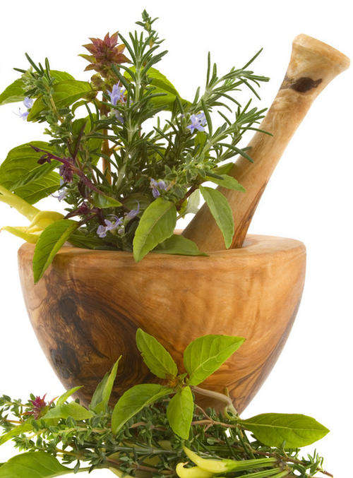 1 000+ Herb Seeds - 23 Var's - Awesome Value - Fresh & Fragrant Herbs!!! Package Deals