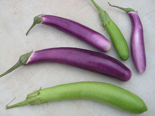 Long Purple Eggplant - Solanum Melongena v Esculentum -  Seeds - Unique Vegetable