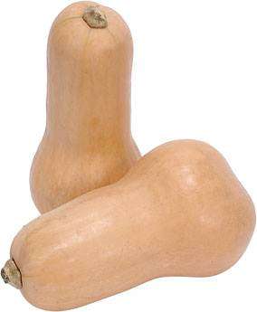 Butternut - Waltham - Cucurbita Moschata -  Seeds - Vegetable