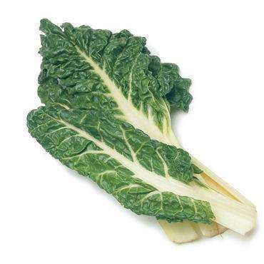 Lucullus Swiss Chard - Beta Vulagris ssp Cicla -  Seeds - Vegetable