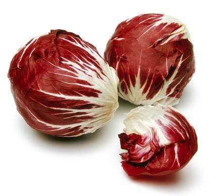 Radiccio Rosa di Treviso - Cichorium Intybus -  Seeds - Unique Vegetable