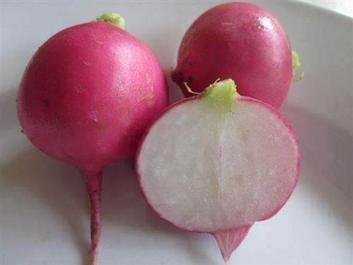Pink Beauty Radish - Raphanus Sativus - 50 Seeds - Unique Vegetable