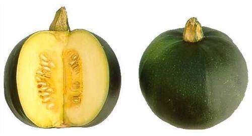 Rolet Gem Squash - Cucurbita Pepo -  Seeds - Vegetable