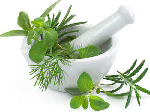 Fresh & Fragrant Herbs - 28 Herb Varieties - 4 000 Plus Seeds - Package Deals