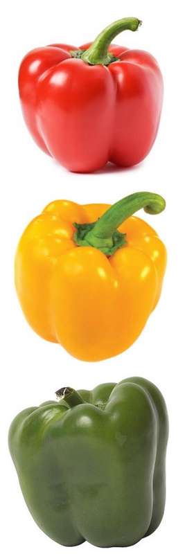 ROBOT Sweet Peppers - Green, Red & Golden California Wonder Peppers - 30 Fresh Seeds - Package Deals