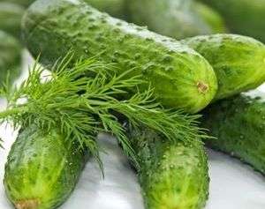 Boston Pickling - Cucumber - Cucumis Sativus - Vegetable - 10 Seed Pack
