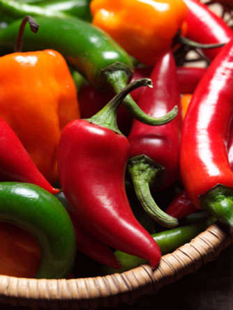 Chilli Pepper Aficionado Pack - 22 Var's - 195 Seeds - Including BHUT JOLOKIA - Package Deals