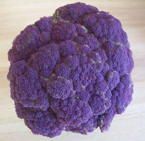 Purple Brocolli - Brassica Oleracea - Unique Vegetable - 50 Seeds - Good raw or cooked