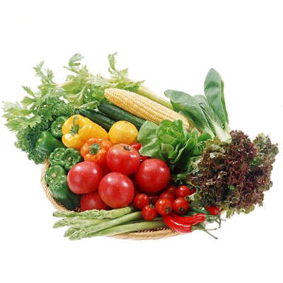 Vegetable & Herb Bulk Seed Pack + Free Shipping