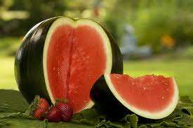 Sugar Baby - Watermelon - Citrullus Lanatus - Vegetable - 20 Seed Pack