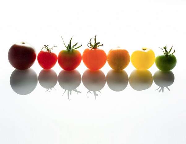 Multicolour Cherry Tomato Pack - 10 Varieties - Summer Specials