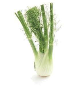 *** NEW *** Sweet Florence Fennel - Foeniculum vulgare - 200 Seeds - Culinary Herb