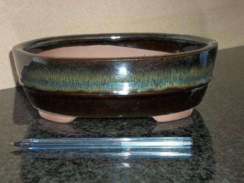 Glazed 20cm x 16.5cm x 6.5cm Bonsai Container -  Massive Range - SFAGR