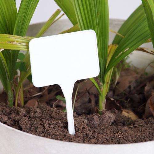 17.5cm Strong White Plastic Markers - 25 Pack - Massive Range - SFAGR