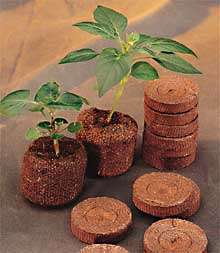Jiffy 7 Peat Pellets 42mm - Pack of 10 Pellets -  Seed Starting pellets - SFAGR