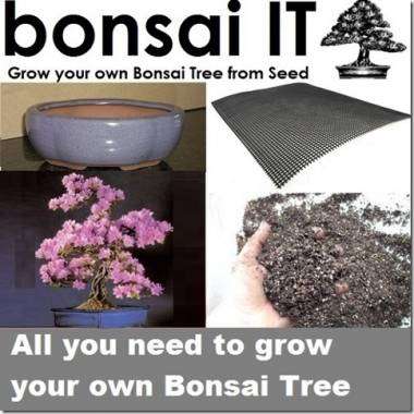 bonsai IT - Grow your own bonsai - All you need to grow your own bonsai