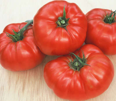 Beefsteak Tomato - Lycopersicon Esculentum - 50 Seeds - Vegetables - FREE E-Books