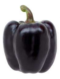 Purple Beauty Sweet Pepper - Heirloom Vegetable - 5 Seeds