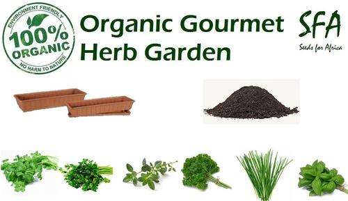 100% Organic Gourmet Herb Garden - Grow your own fresh herbs in your kitchen