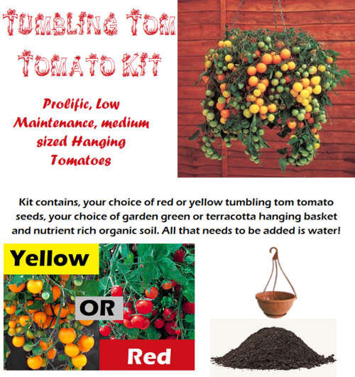 Tumbling Tomato Kit