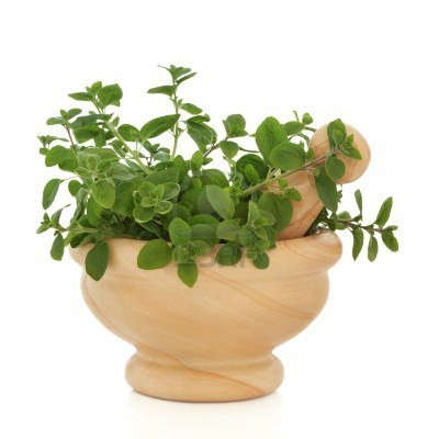 Fresh & Fragrant Herbs Pack | 28 Herb Varieties | 4 000 Plus Seeds - Free Shipping