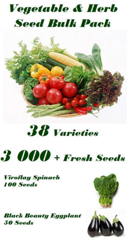 Vegetable & Herb Bulk Seed Pack - 38 Varieties - 3 000+ Seeds