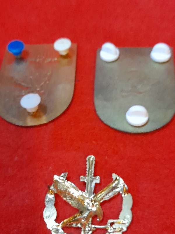 TWO SOUTH AFRICAN POLICE TASK FORCE METAL SHOULDER FLASHES & TASK FORCE OPERATOR BADGE.