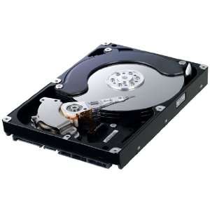 SAMSUNG Spinpoint F1 HD103UJ 1TB 7200 RPM 32MB Cache SATA  3.5" Internal Hard Drive