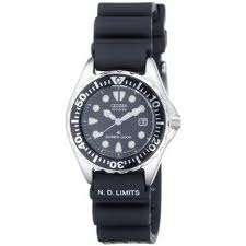 Citizen Women's Eco-Drive 300 Meter Professional Diver Watch
