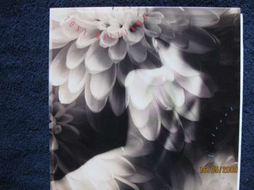 TONY WILLIAMS  Angel Street   US Blue Note