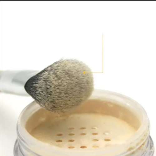 11 Piece quality make up brush set