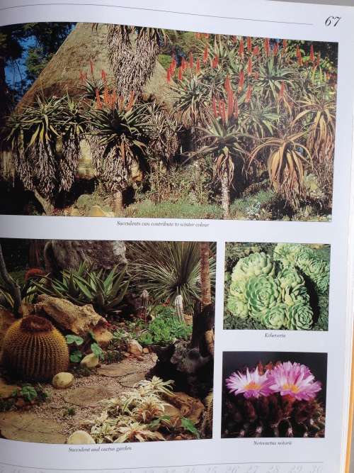 SOUTH AFRICAN GARDENING MONTH BY MONTH - By Nancy Gardiner. R135