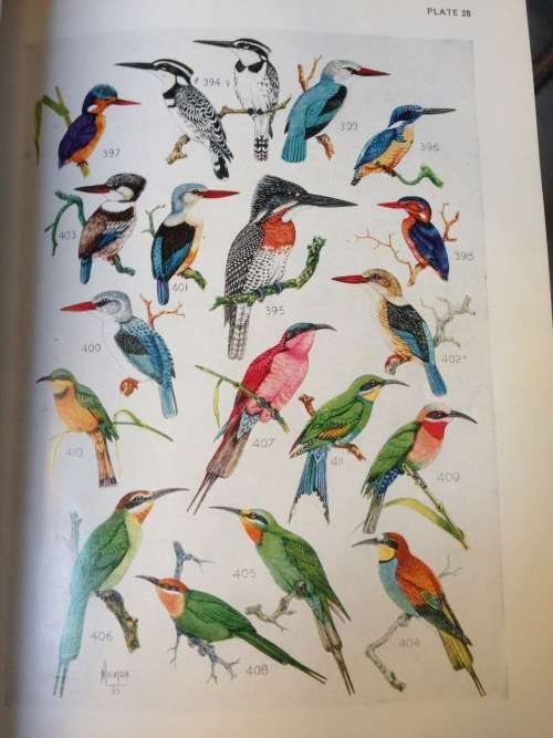 ROBERTS BIRDS OF SOUTH AFRICA, R50.
