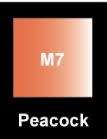 CRAFT PAINT METAL 250ml  PEACOCK - Jar - 250ml