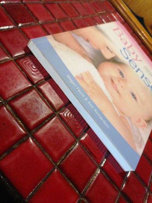 Pregnancy and Baby book