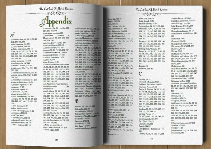The Lost Book of Herbal Remedies