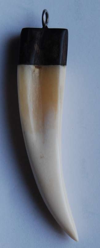 TOOTH PENDANT