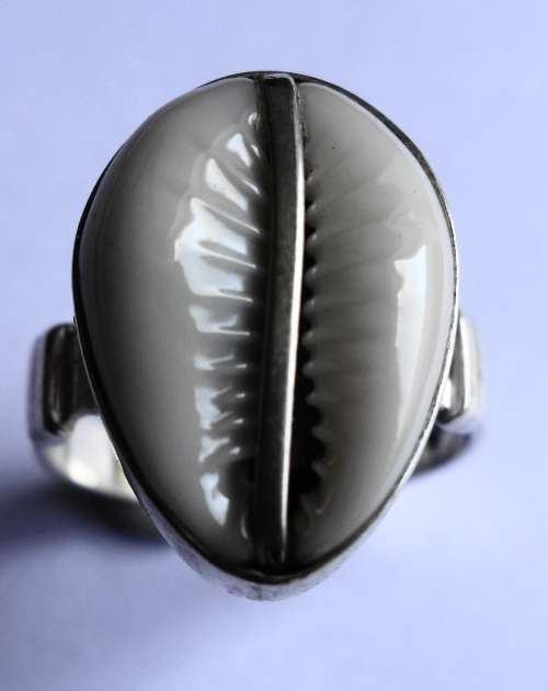 COWRY SHELL RING SET IN STERLING SILVER