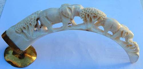 CARVED WARTHOG TUSK