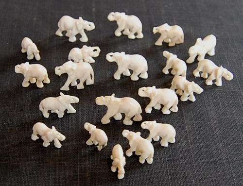 20 CARVED IVORY ELEPHANTS