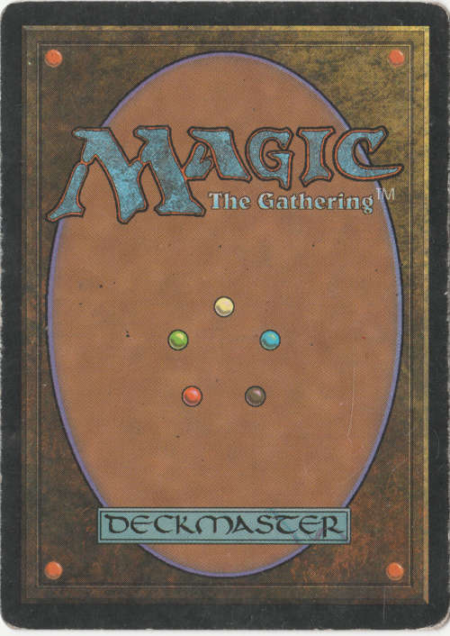 Magic the Gathering - Canopy Spider
