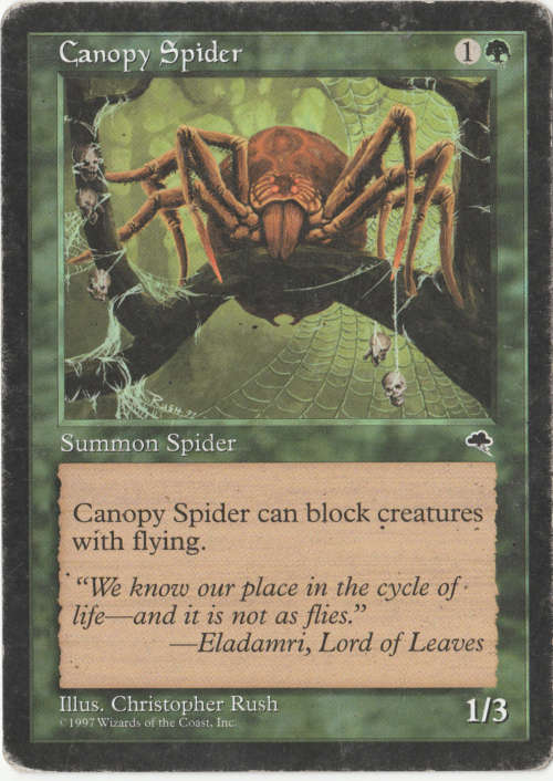 Magic the Gathering - Canopy Spider