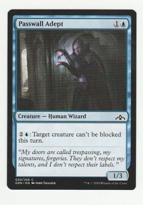 Magic the Gathering 2018 (NM) - Passwell Adept - Common - Guilds of Ravnica