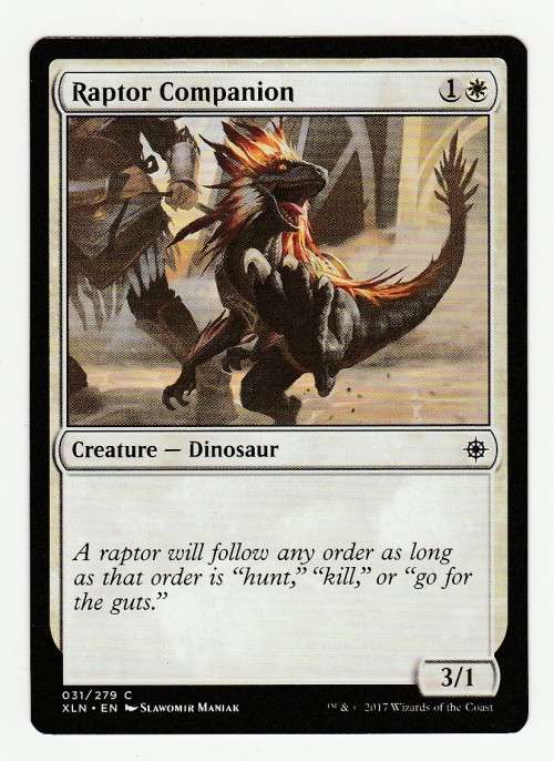 Magic the Gathering 2017 (NM) - Raptor Companion - Common - Ixalan
