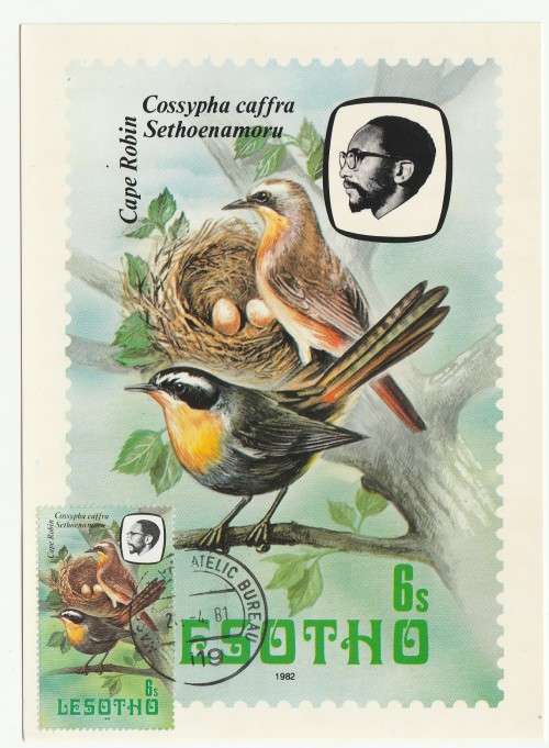 Lesotho 1981 Lesotho Birds Postcard